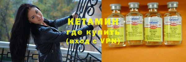 шишки Абаза