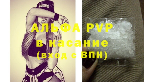 шишки Абаза
