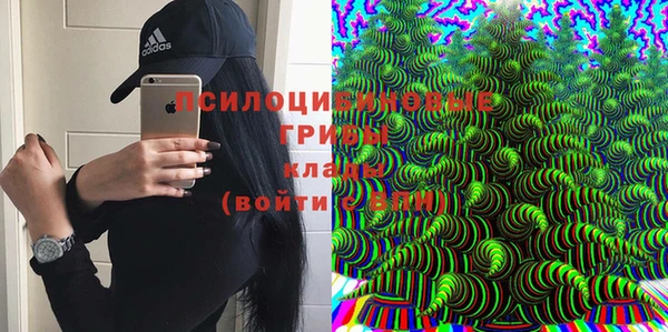 молекула духа Абдулино