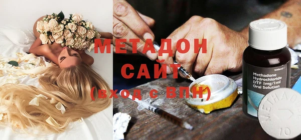 шишки Абаза