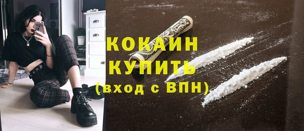шишки Абаза
