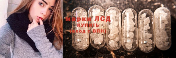 стаф Алзамай