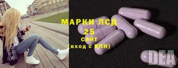 шишки Абаза
