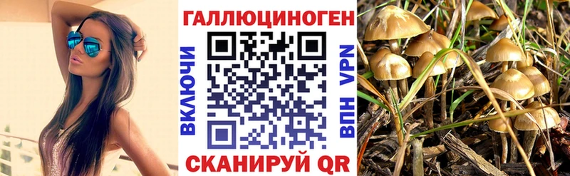 Галлюциногенные грибы мухоморы  купить   MEGA рабочий сайт  Чебаркуль 